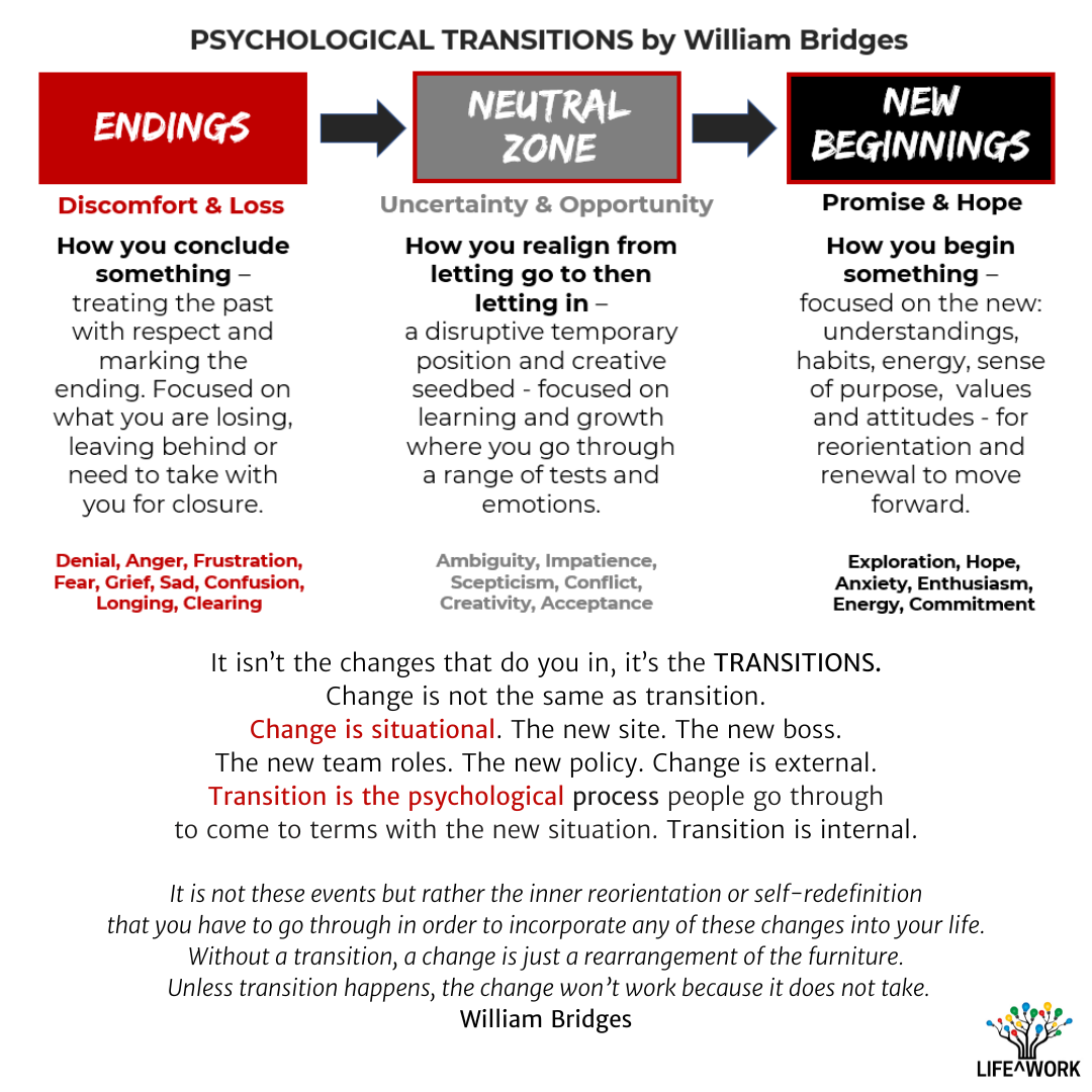 LW60 BLOG Transitions